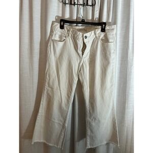 Banana republic classic flared leg